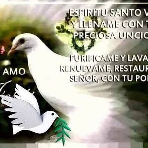 Meet your Posher, Lupe